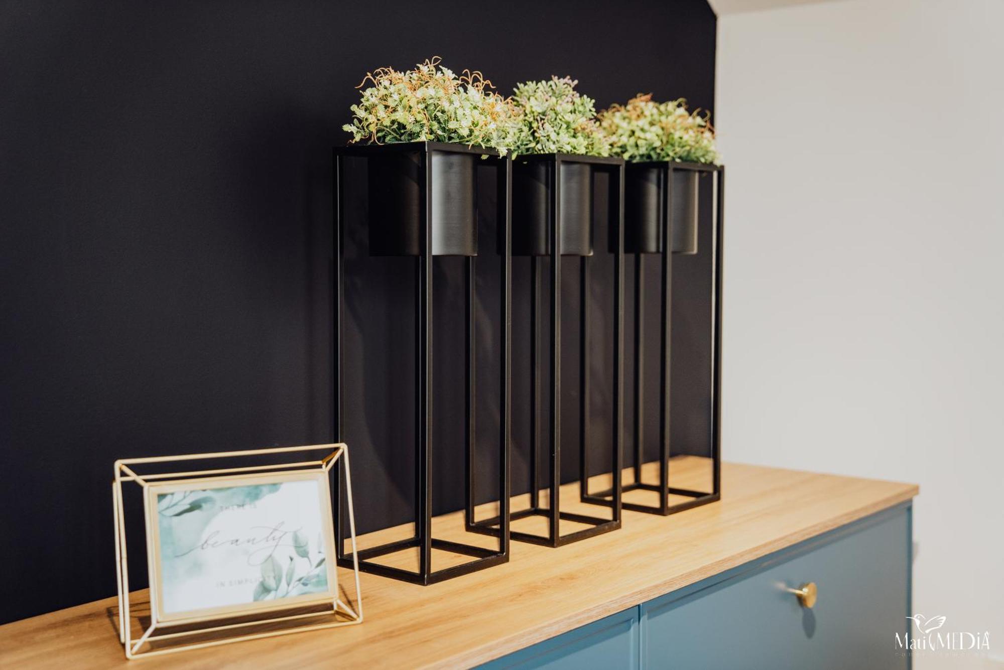 Lux 2 Cieplice Apartment